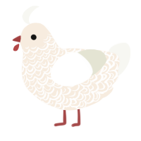 A cream and white chicken with a double-lace pattern