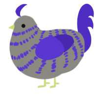 kaito, a ash and indigo chicken with a bar pattern