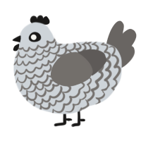 A mist and grey chicken with a lace pattern