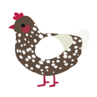 A bark and white chicken with a speckle pattern