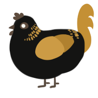A black and gold chicken with a neck-band pattern