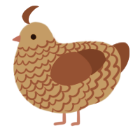 A red and maroon chicken with a lace pattern