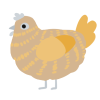 A beige and honey chicken with a bar pattern