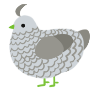 A mist and ash chicken with a lace pattern