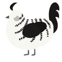 A white and sable chicken with a half-bar pattern