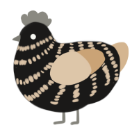 A sable and beige chicken with a bar pattern