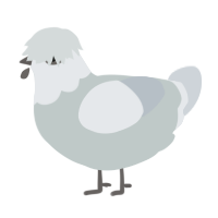 A silver and mist chicken with a head pattern
