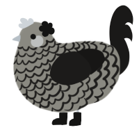 Granite, a ash and sable chicken with a lace pattern
