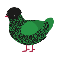 A sable and viridian chicken with a double-lace pattern