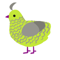 honeydew, a lime and ash chicken with a lace pattern