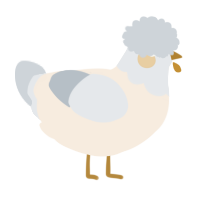 Spilled Milk, a cream and mist chicken with a head pattern