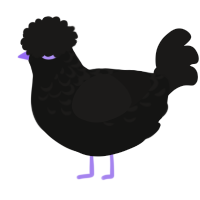 Emo, a black and sable chicken with a half-lace pattern