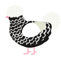A sable and white chicken with a lace pattern