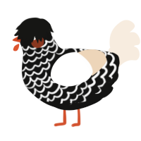 A black and cream chicken with a lace pattern