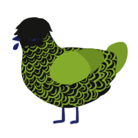 Onyx, a black and chartreuse chicken with a double-lace pattern