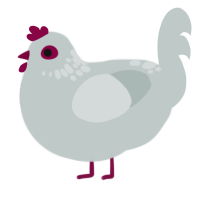 A silver chicken with a neck-speckle pattern