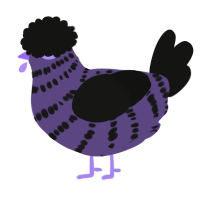 A overcast and black chicken with a bar pattern