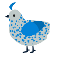 A silver and sapphire chicken with a speckle pattern
