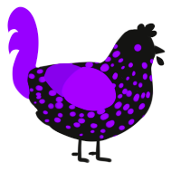 A black and violet chicken with a speckle pattern