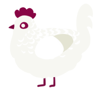 A white chicken with a half-lace pattern