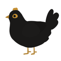 A sable chicken