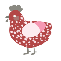 A red and rose chicken with a speckle pattern