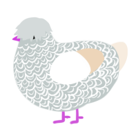 A silver and cream chicken with a double-lace pattern
