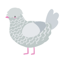 A silver and mist chicken with a lace pattern