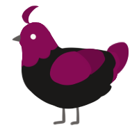A sable and wine chicken with a head pattern