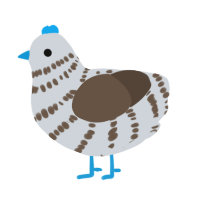 A mist and bark chicken with a bar pattern