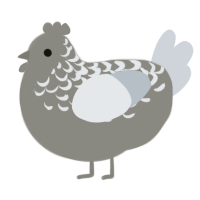 A ash and mist chicken with a half-lace pattern