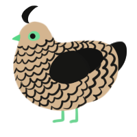 A beige and black chicken with a lace pattern