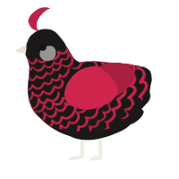 hollyhock, a sable and crimson chicken with a lace pattern