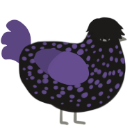 Moisissure Noire, a sable and overcast chicken with a speckle pattern