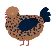 A brown and tumblr chicken with a speckle pattern