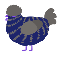 A navy and grey chicken with a bar pattern