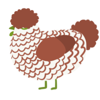 A white and russet chicken with a lace pattern