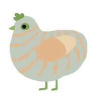 A russet and sapphire chicken with a bar pattern