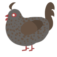 A grey and bark chicken with a speckle pattern