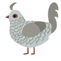 A silver and ash chicken with a lace pattern