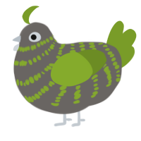 A grey and chartreuse chicken with a bar pattern