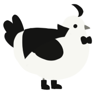 Xenotransplantation, a white and black chicken