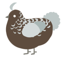 A bark and silver chicken with a half-lace pattern