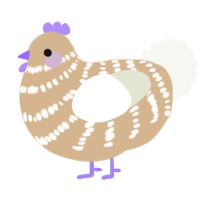 A beige and white chicken with a bar pattern
