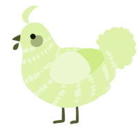 A apple chicken with a bar pattern