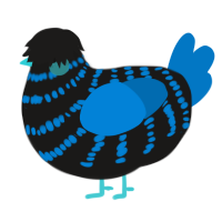 A sable and sapphire chicken with a bar pattern