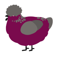 A wine and grey chicken with a neck-speckle pattern