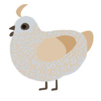 A mist and beige chicken with a double-lace pattern