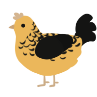 A honey and black chicken with a half-lace pattern