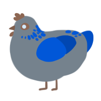 A ash and ultramarine chicken with a neck-speckle pattern
